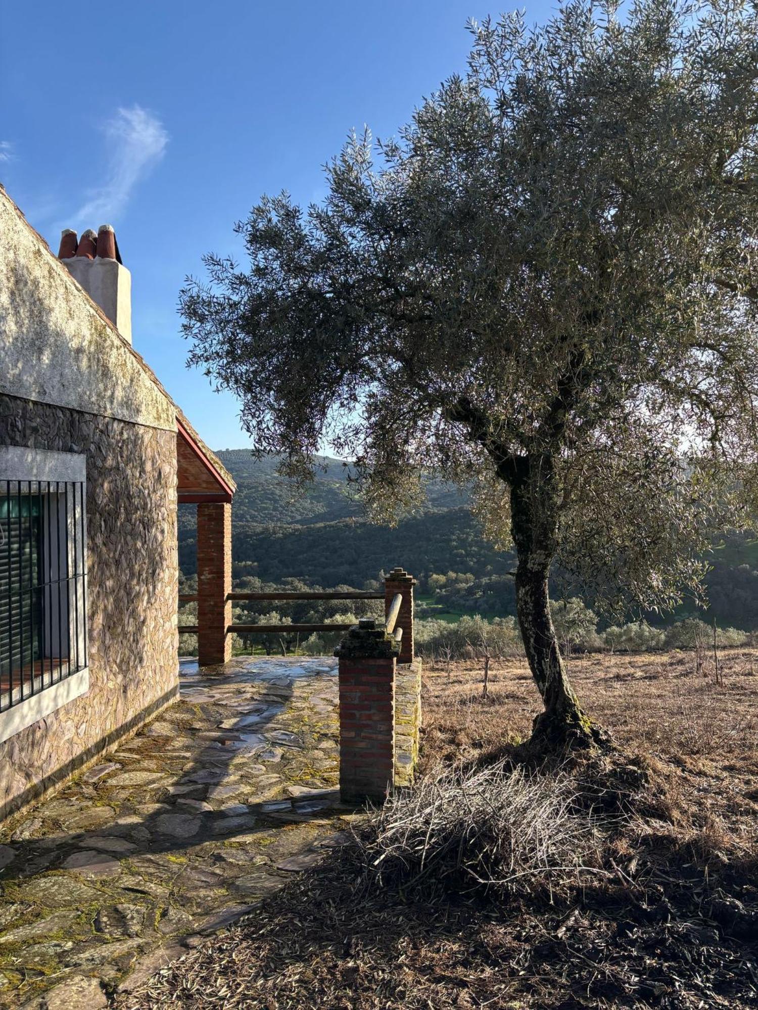 Casas Rurales Los Llanos Фуэнтес-де-Леон Экстерьер фото