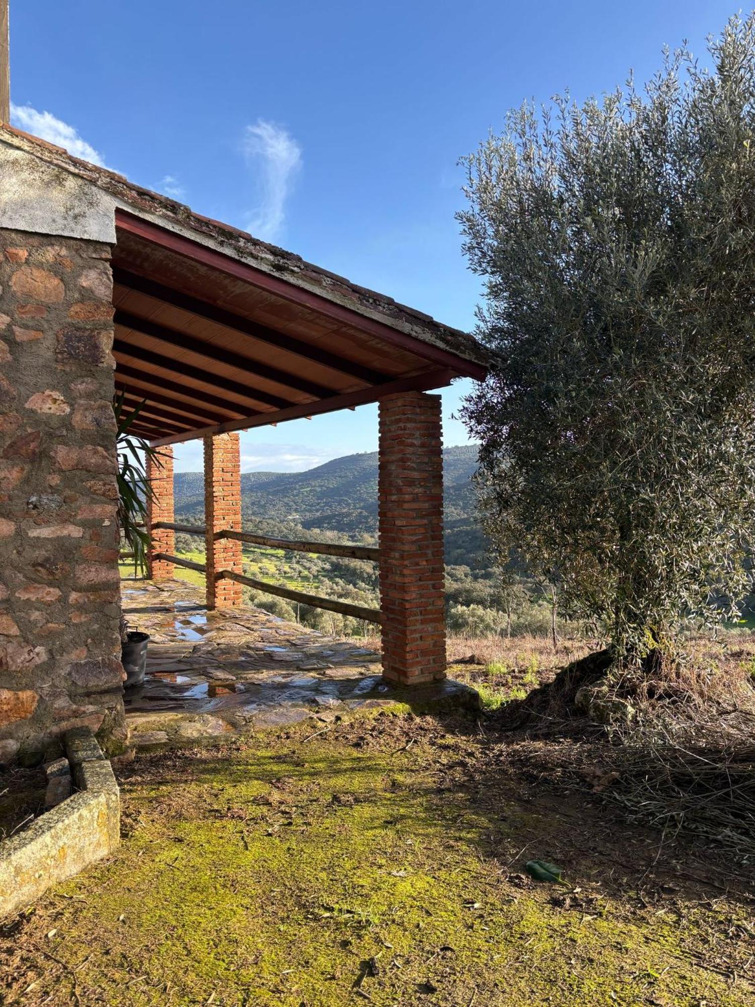 Casas Rurales Los Llanos Фуэнтес-де-Леон Экстерьер фото