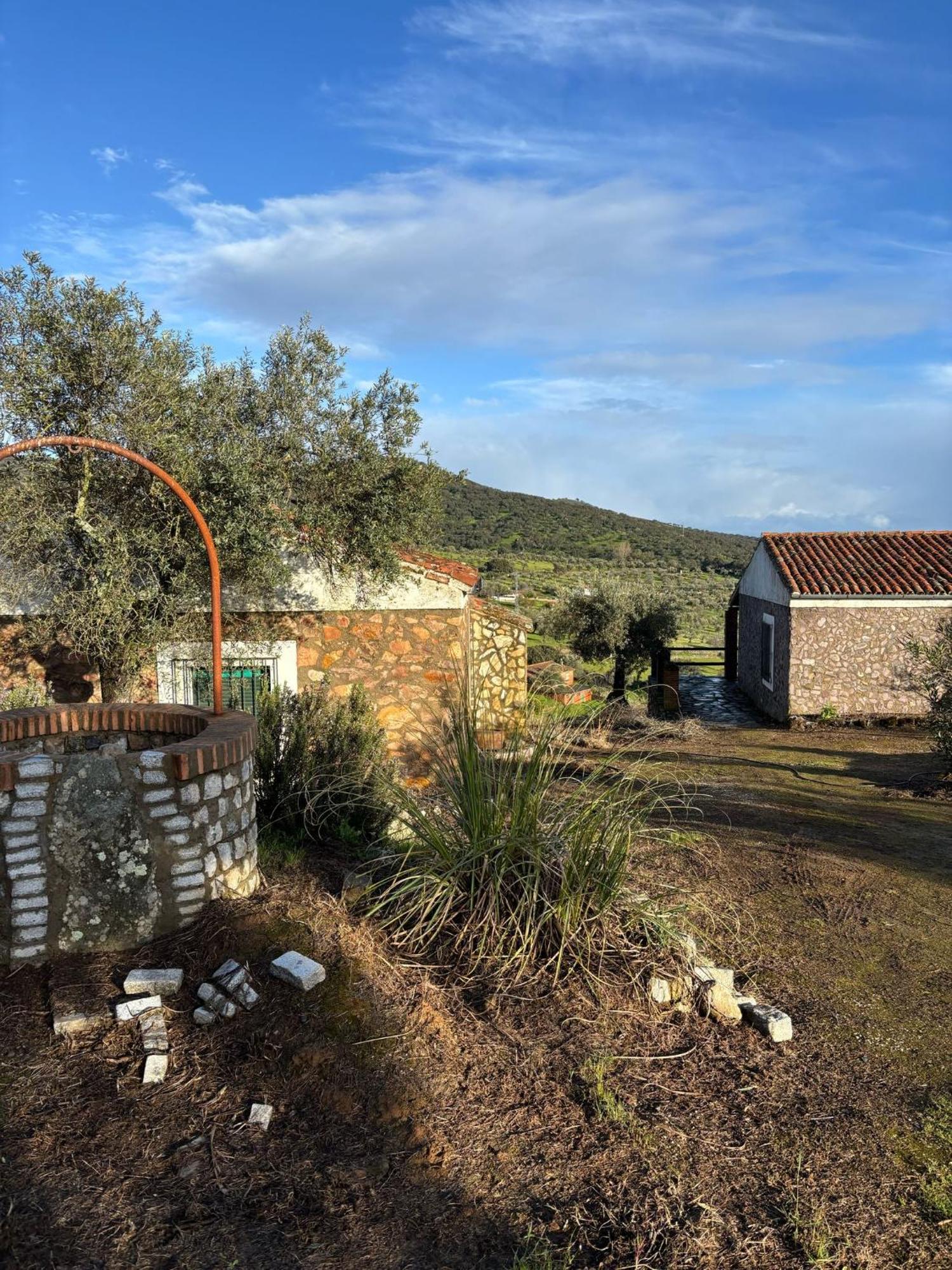 Casas Rurales Los Llanos Фуэнтес-де-Леон Экстерьер фото