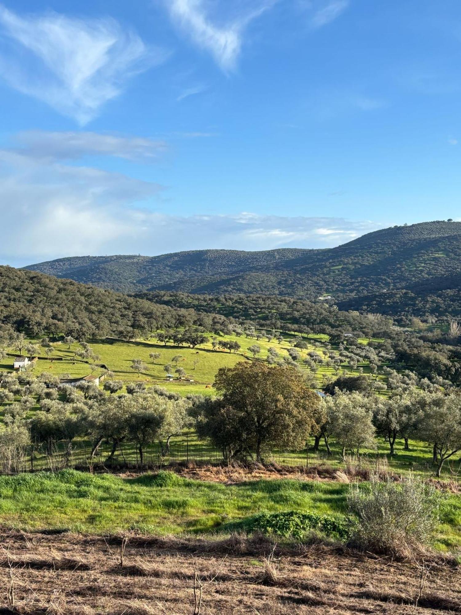 Casas Rurales Los Llanos Фуэнтес-де-Леон Экстерьер фото