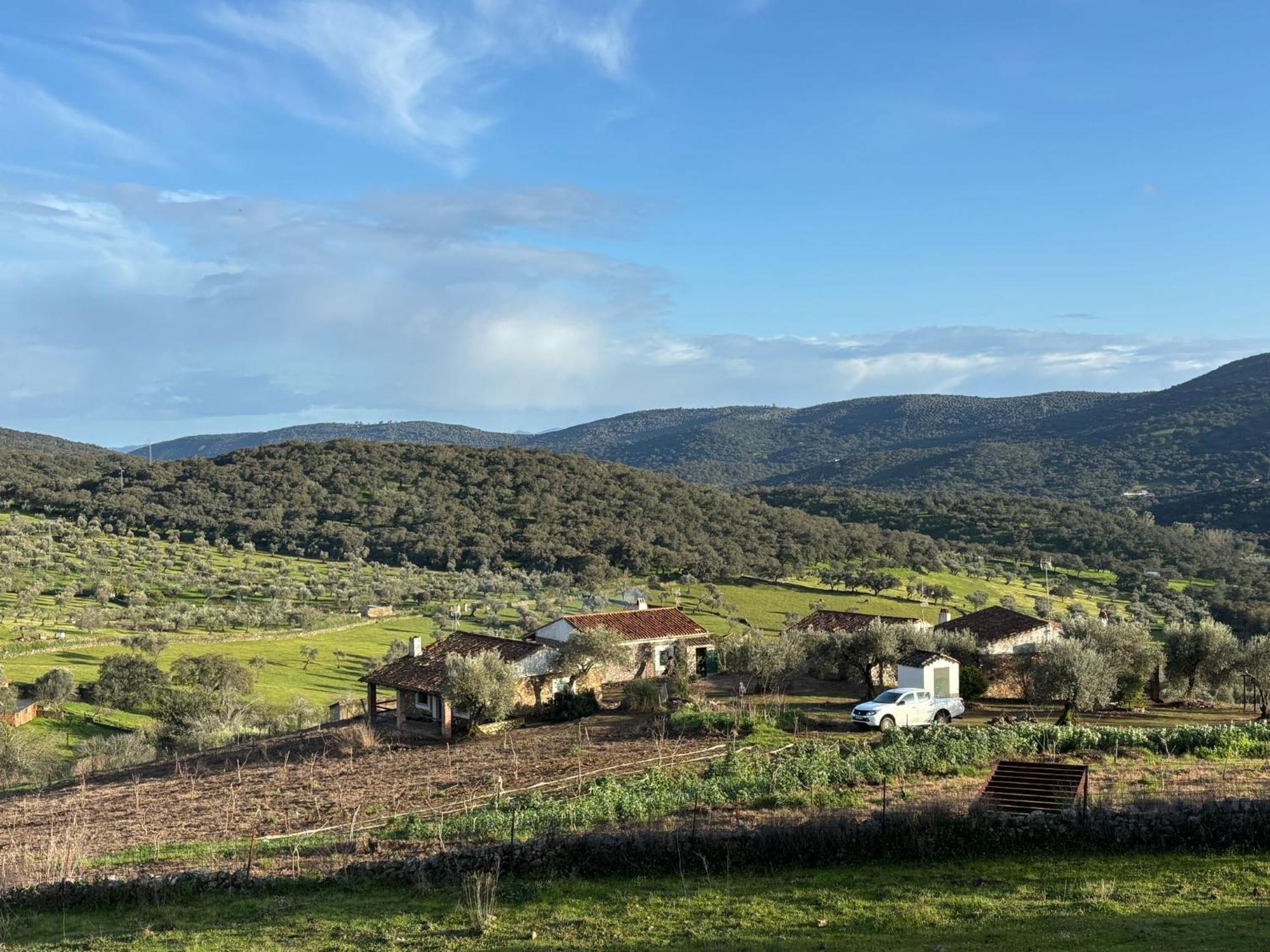 Casas Rurales Los Llanos Фуэнтес-де-Леон Экстерьер фото